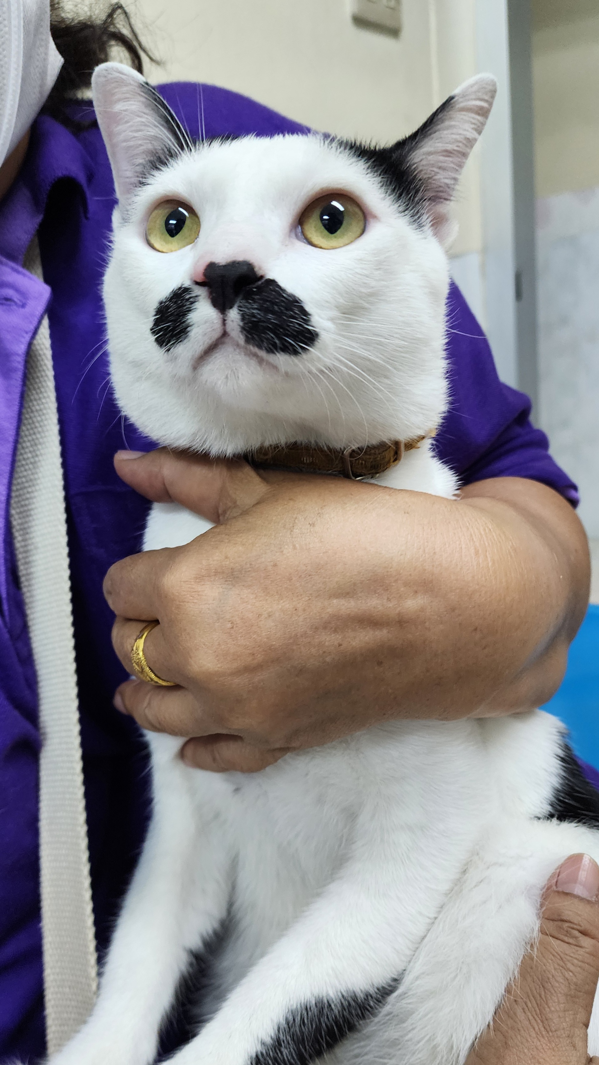 Samut Prakan Veterinary