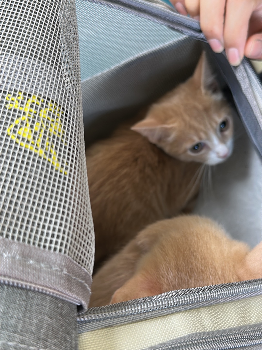 Bang Phli Animal Hospital
