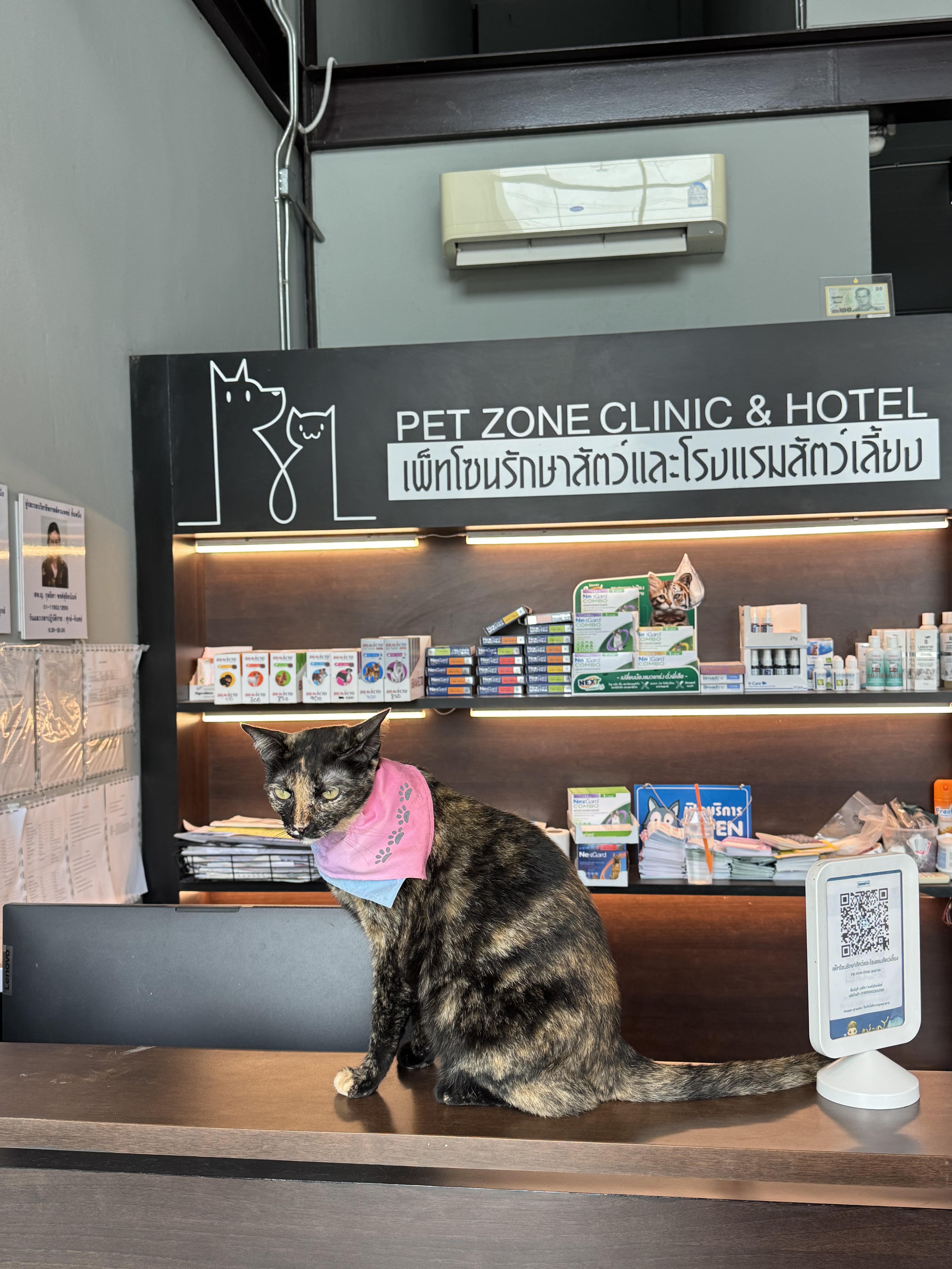 Pet Zone Animal Treatment & Pet Hotel