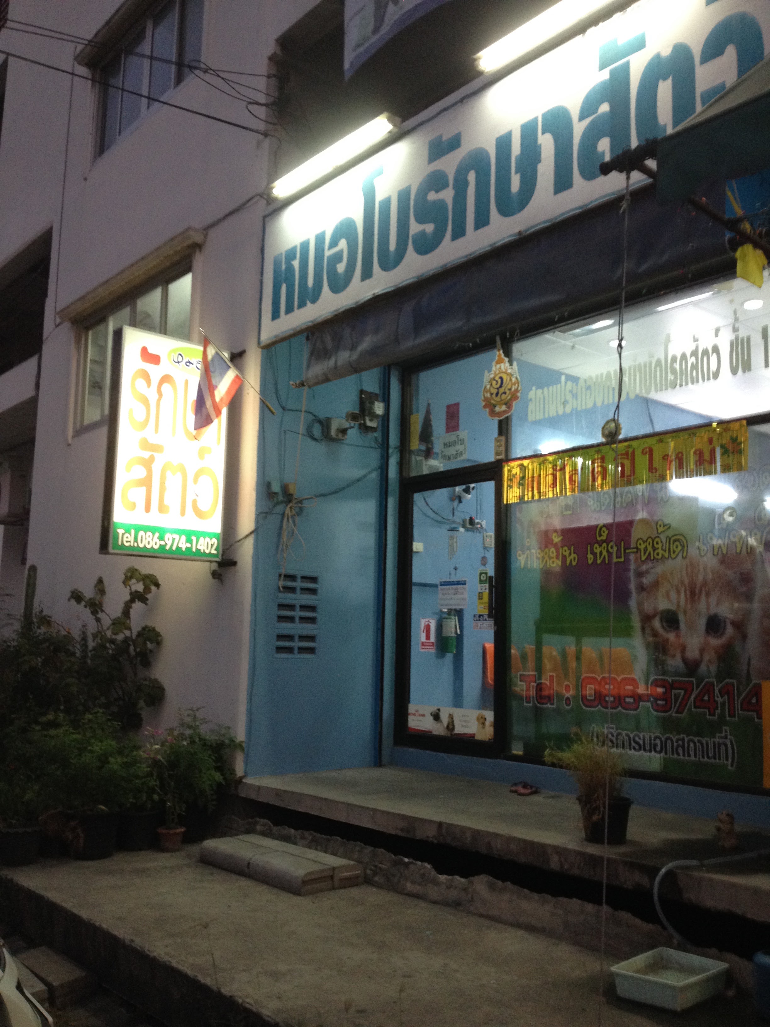 Doctor Bo Veterinary Clinic & Pet Shop, Grooming, Boarding