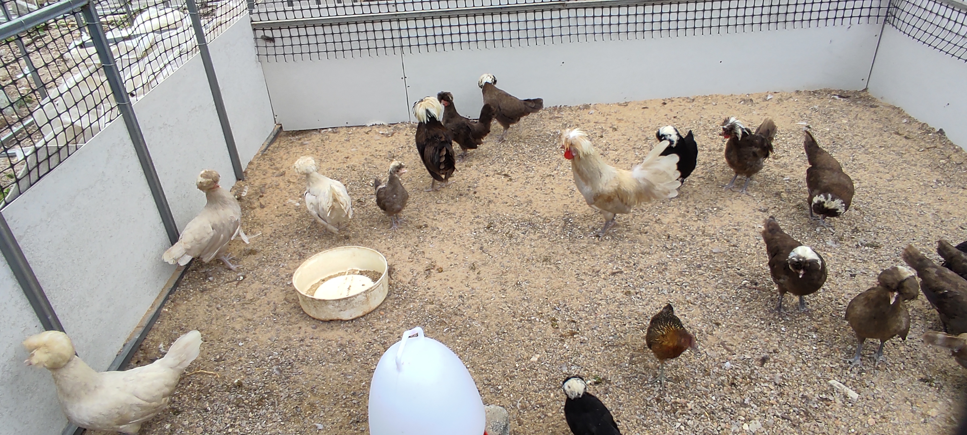 Dr.Natrada animal hospital