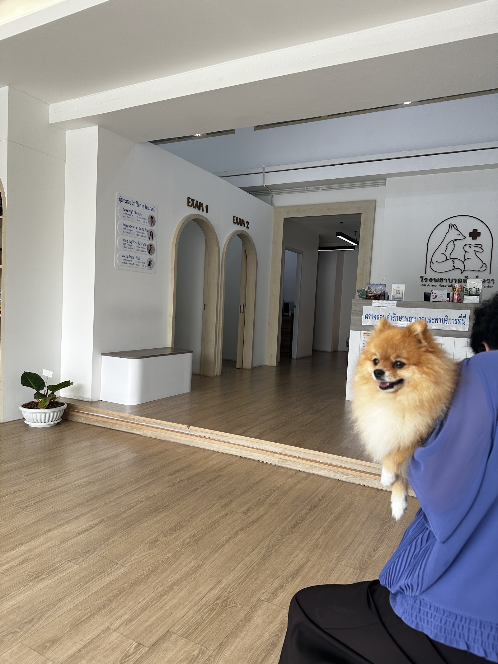 EVA Animal Hospital and Exotic pets Center