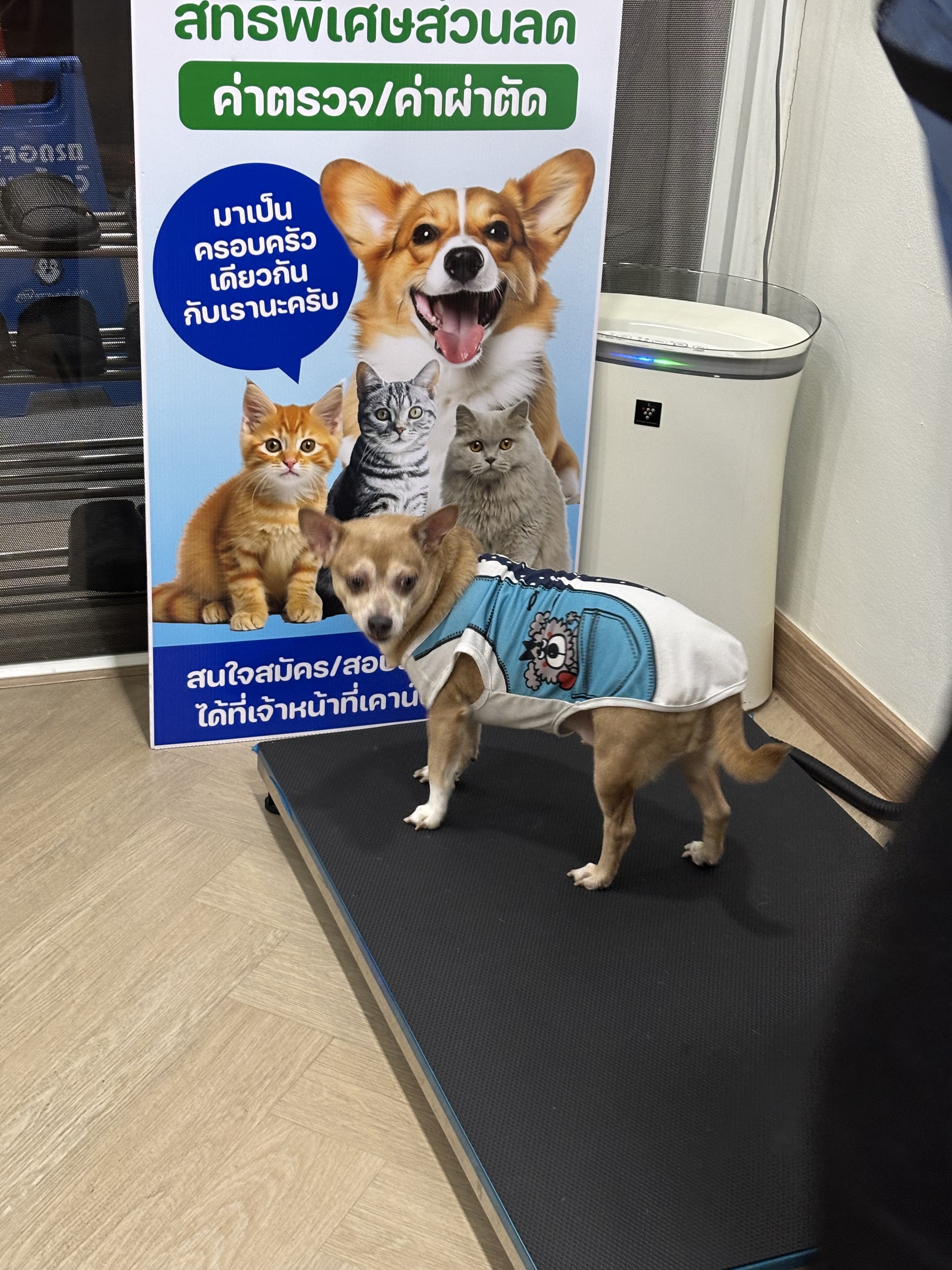 Grow far to treat animals