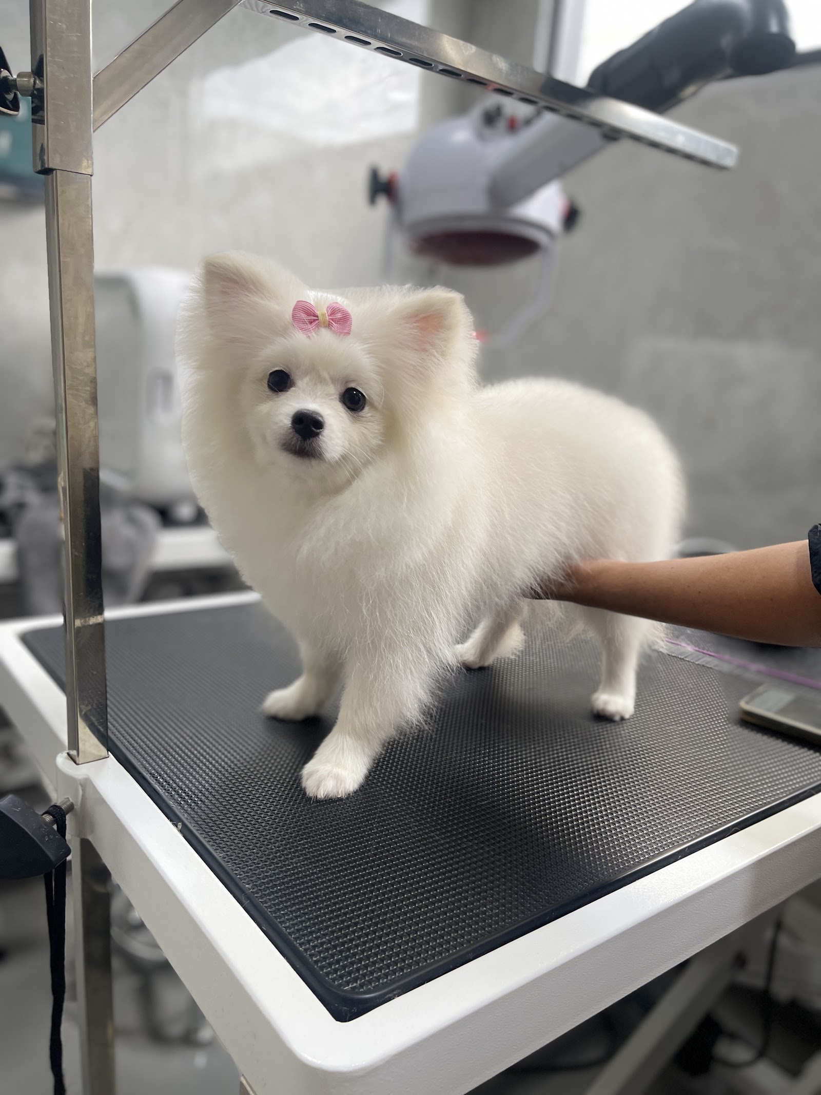 Hato Animal Hospital Theparak
