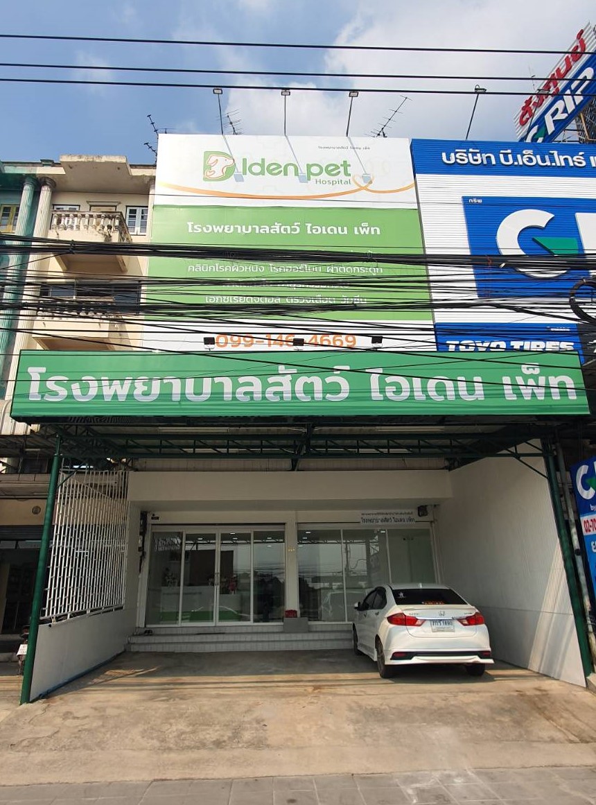 Iden pet hospital