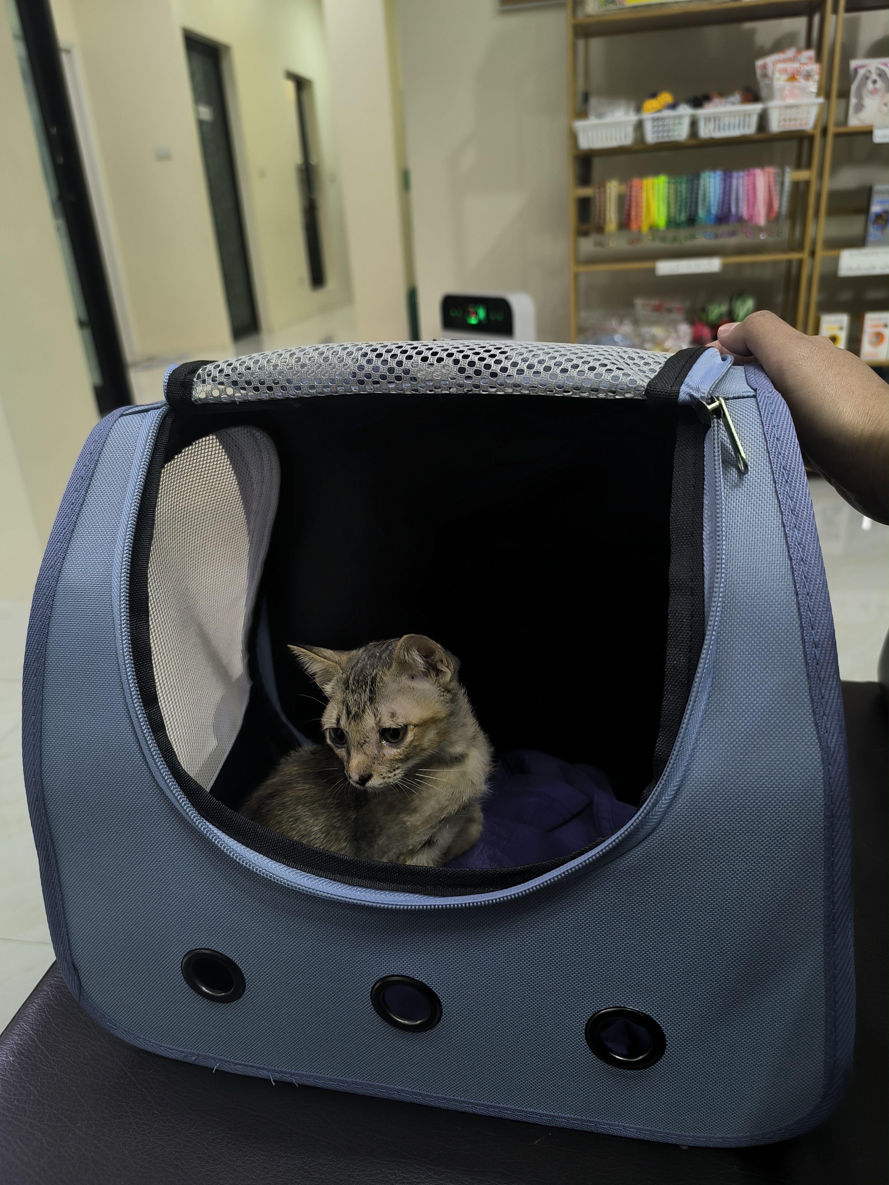 Kaweewat Pet Clinic