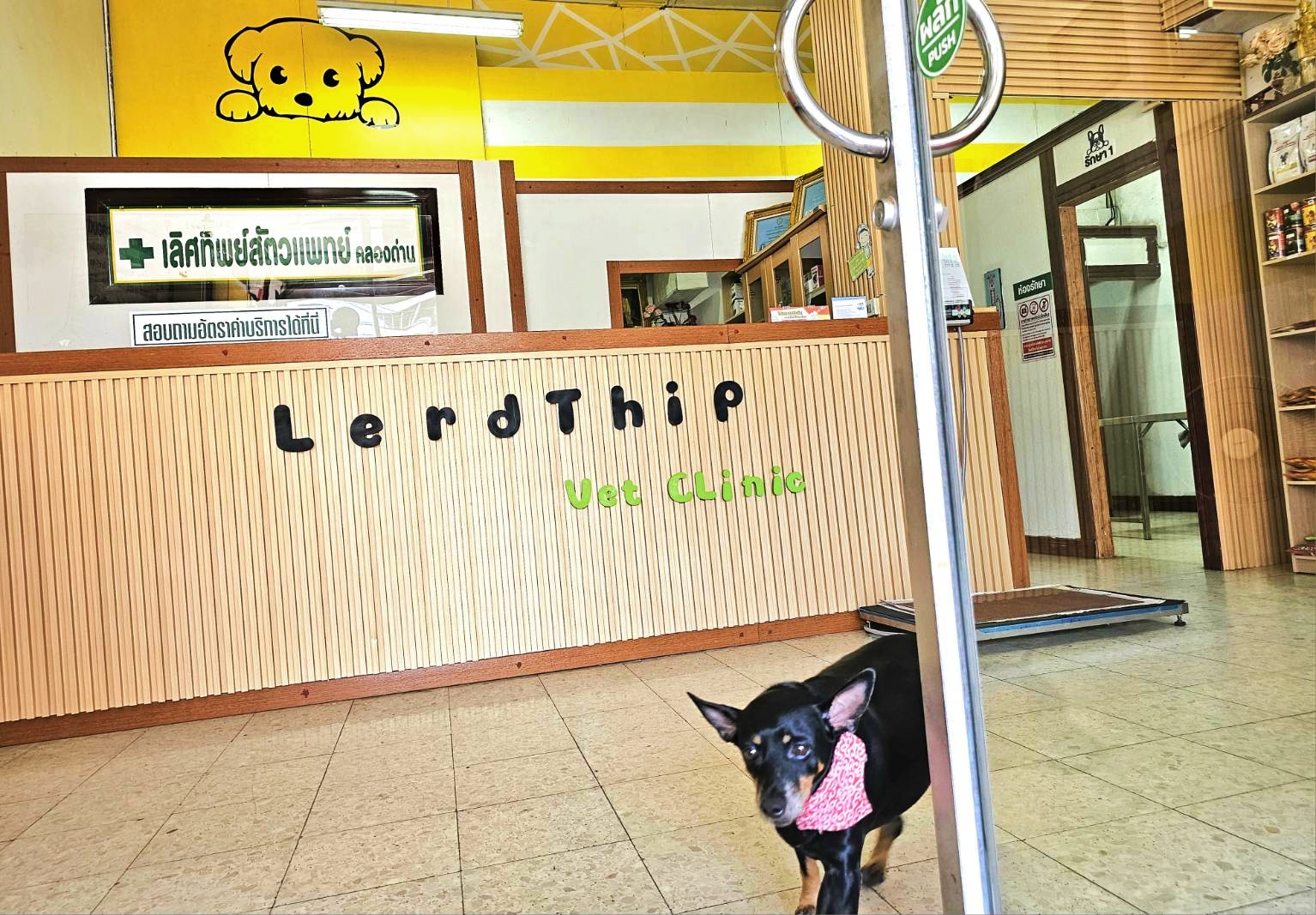 Lerthip Klong Dan Veterinarian