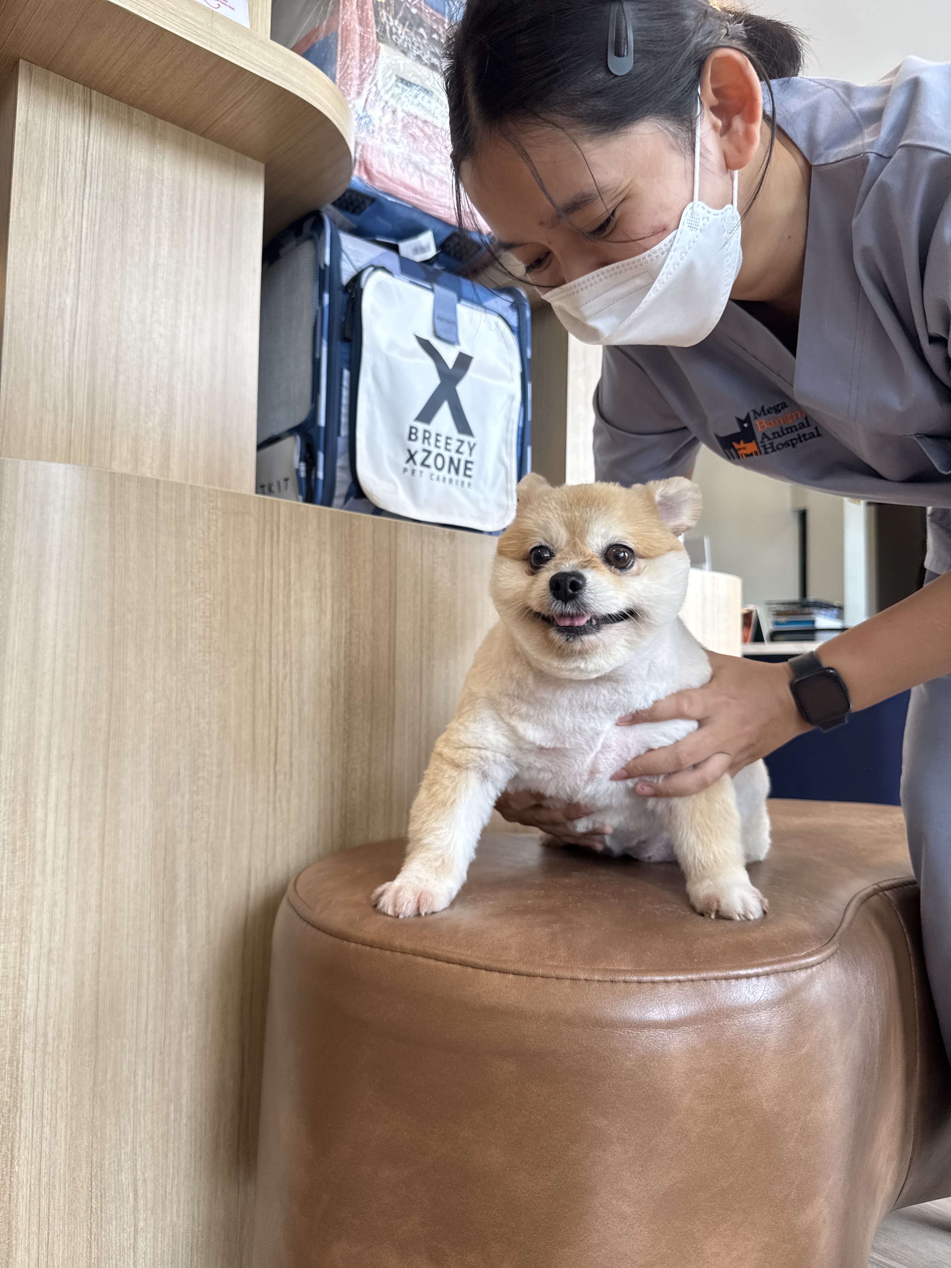 Mega Bangna Animal Hospital