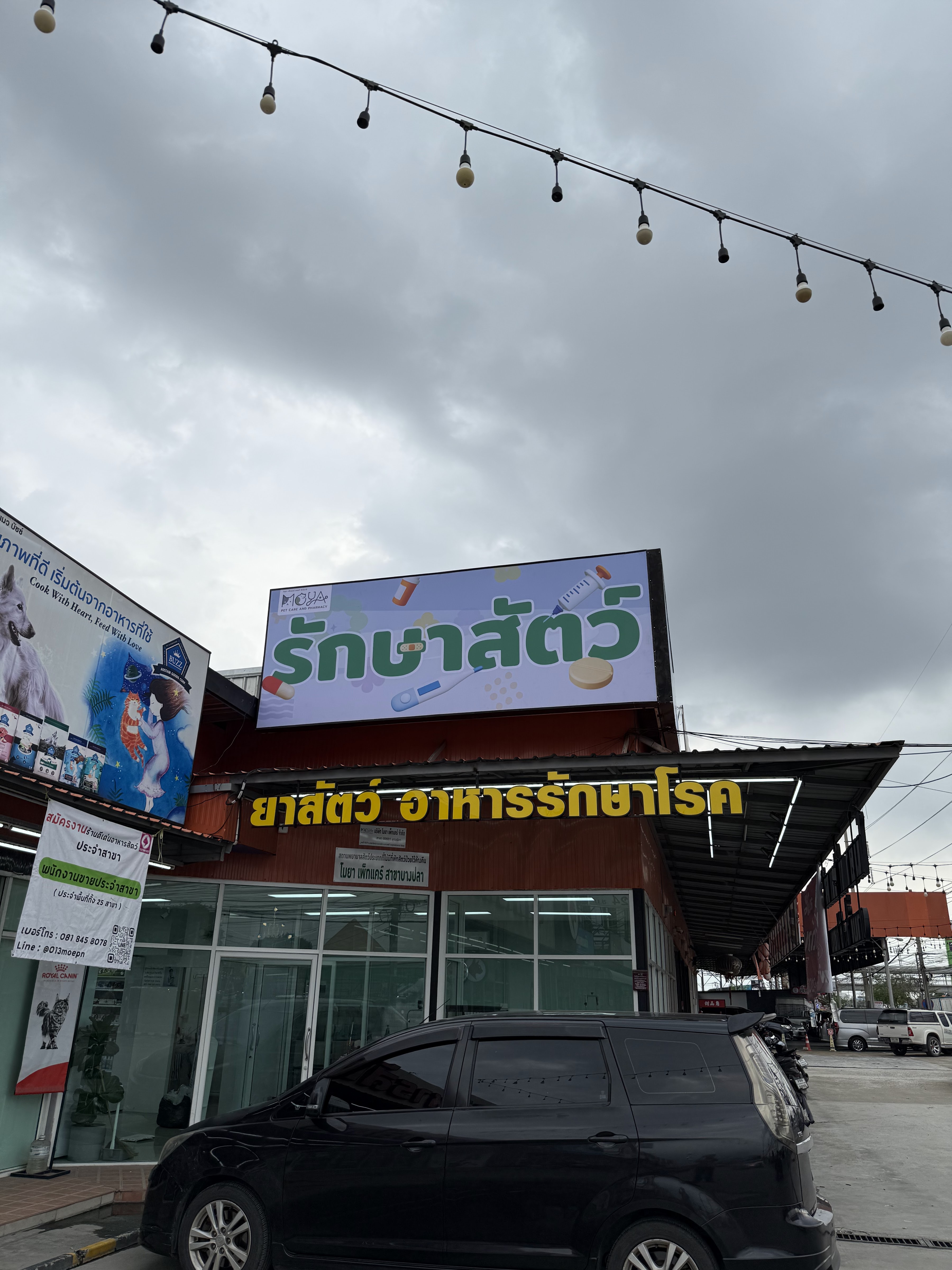 MOYA Pet Care