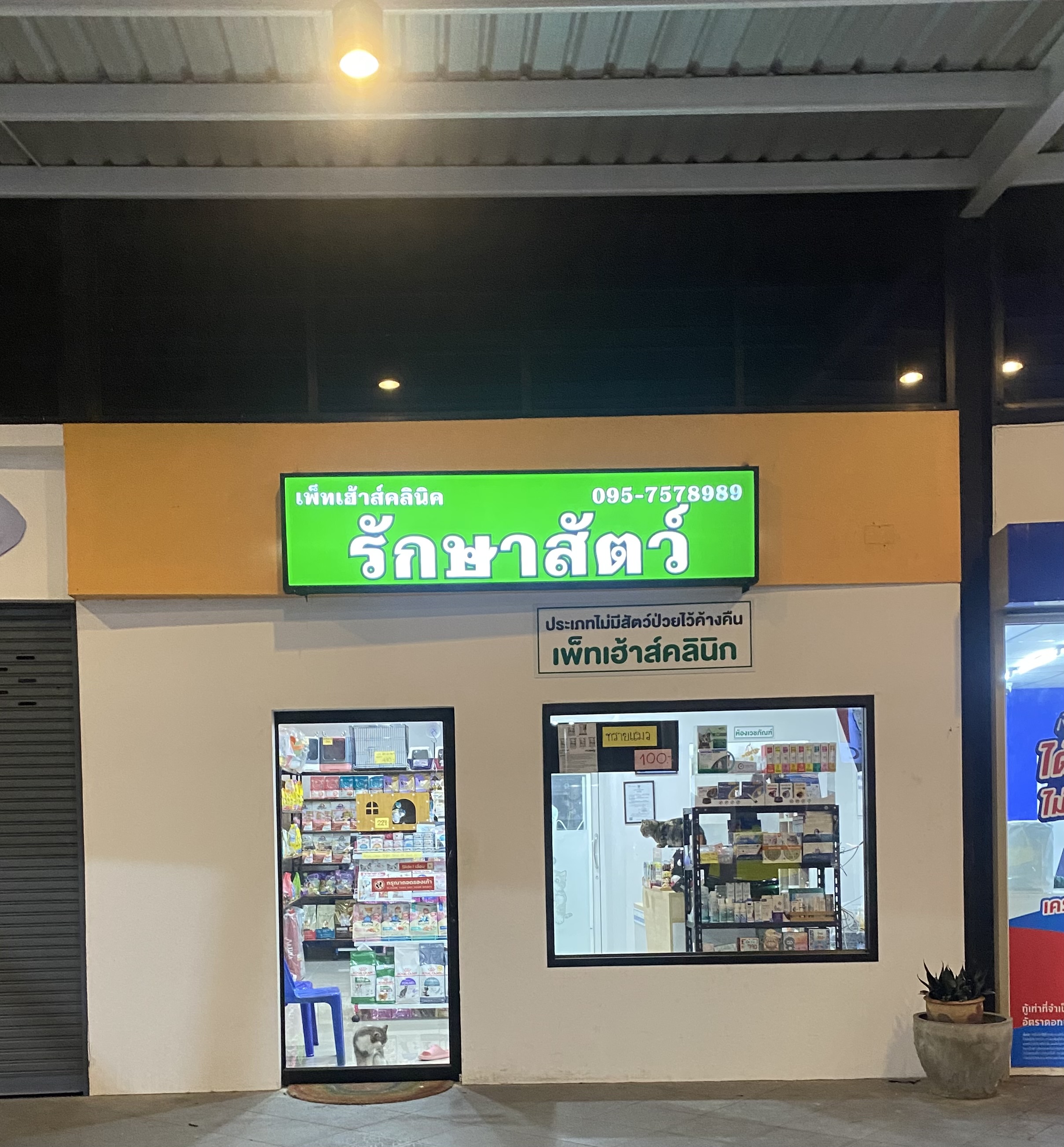 Pet Haus Clinic