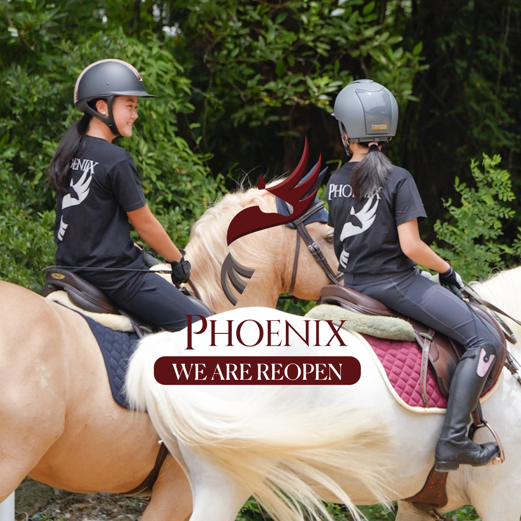 Phoenix Riding Academy (NEW)