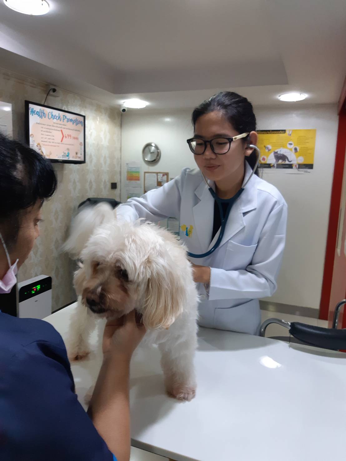 Saint Raphael Animal Hospital
