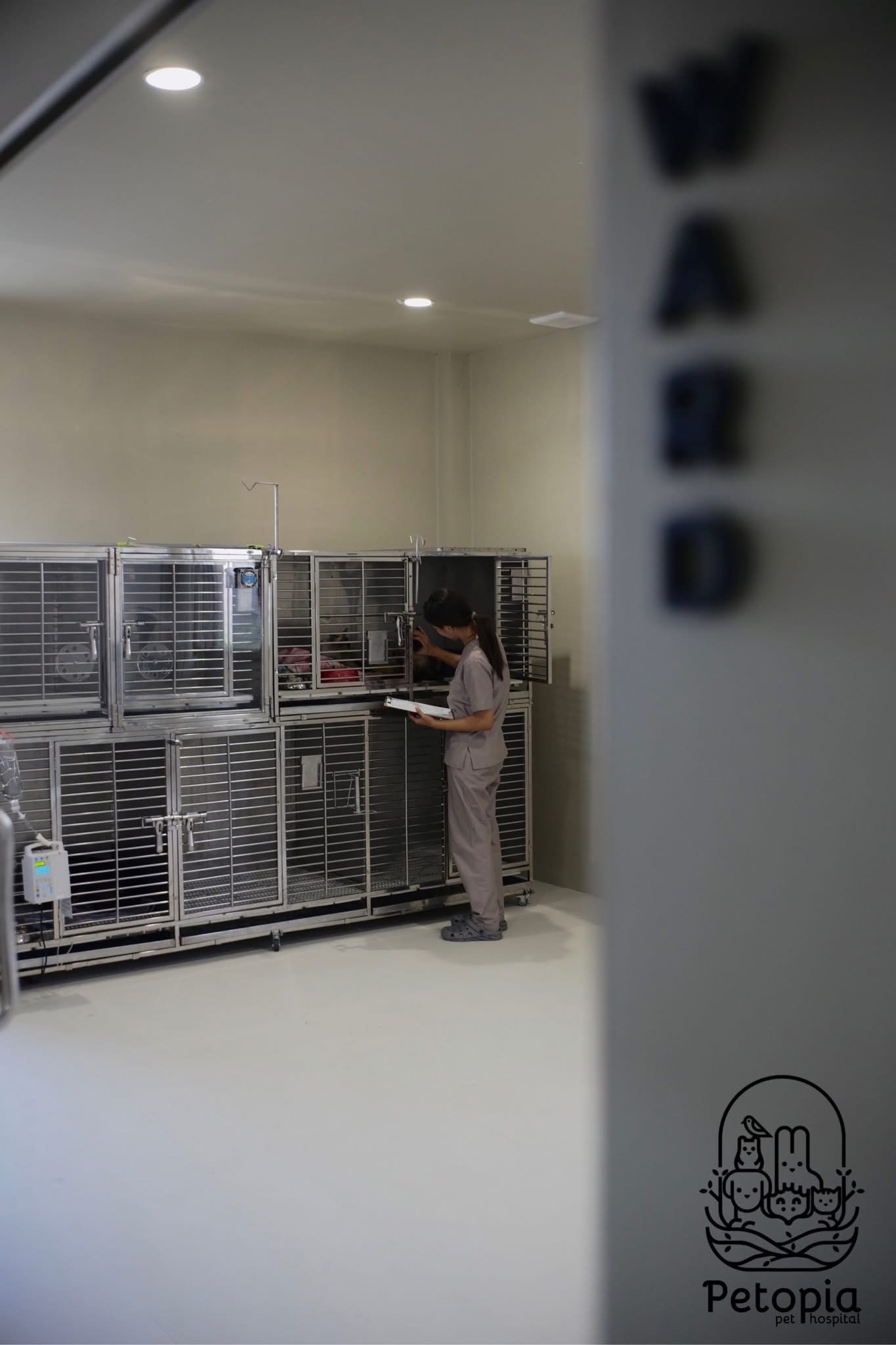 Petopia Pet Hospital