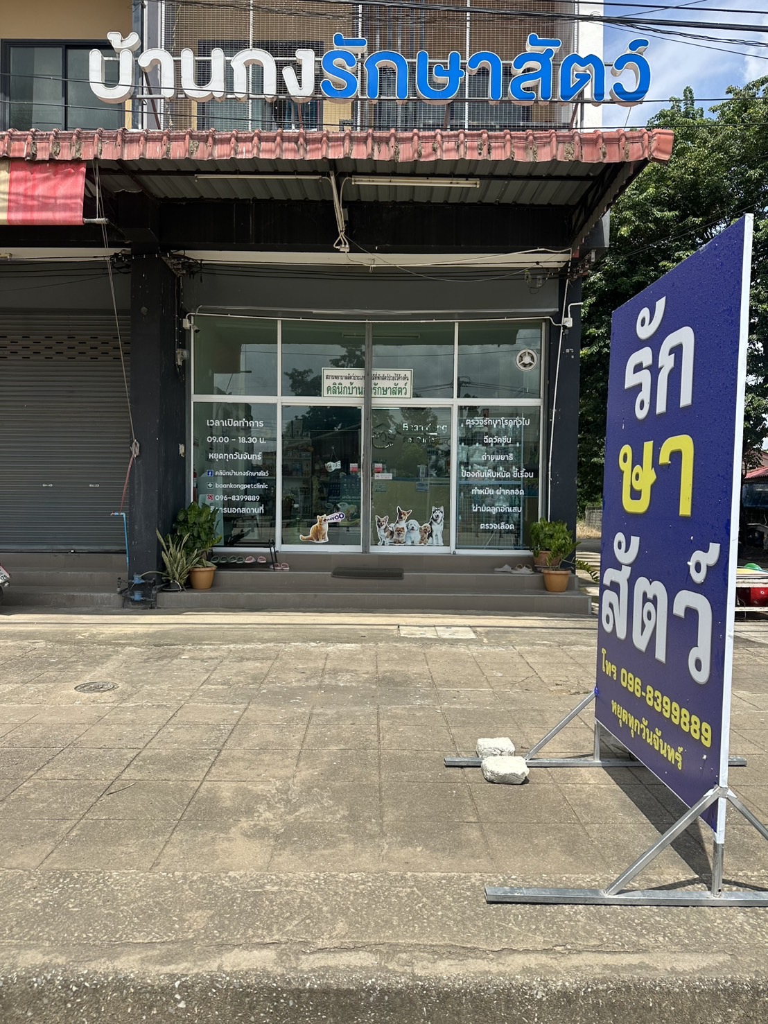 Baan Kong Pet Clinic