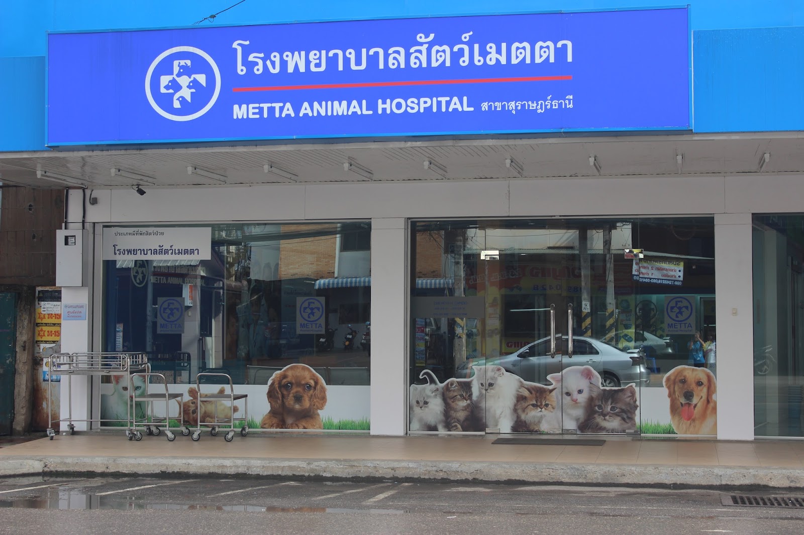 Animal Hospital, Surat Thani Branch