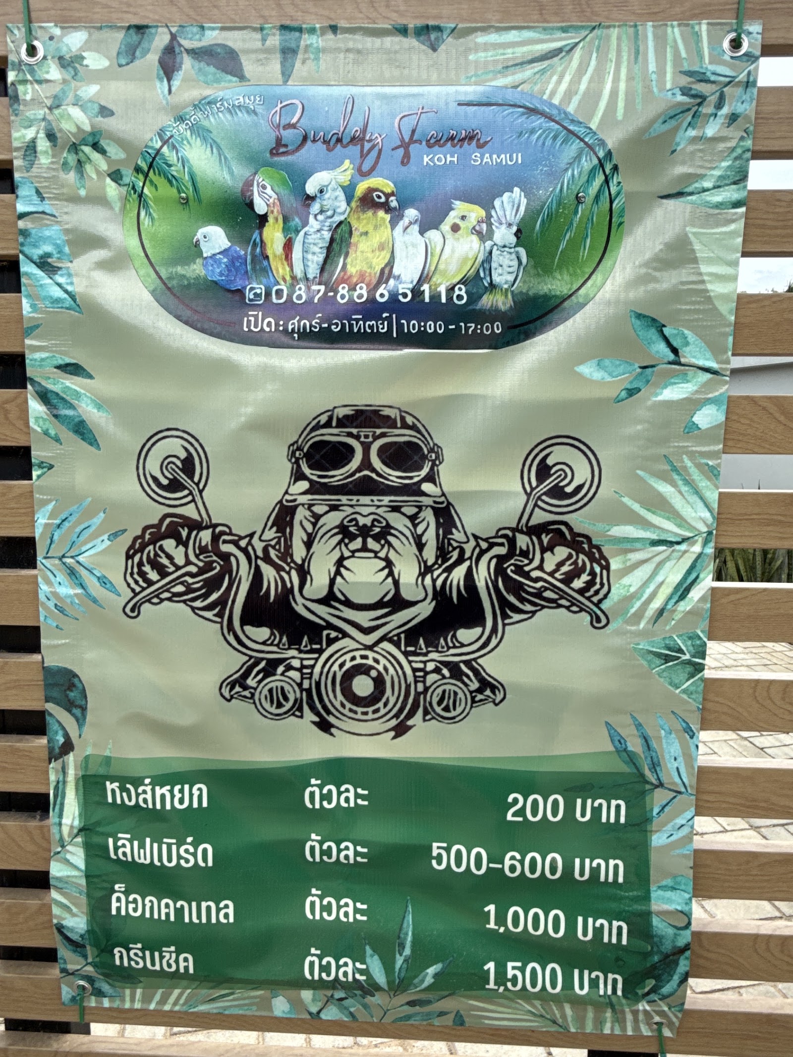 Buddy Farm Samui
