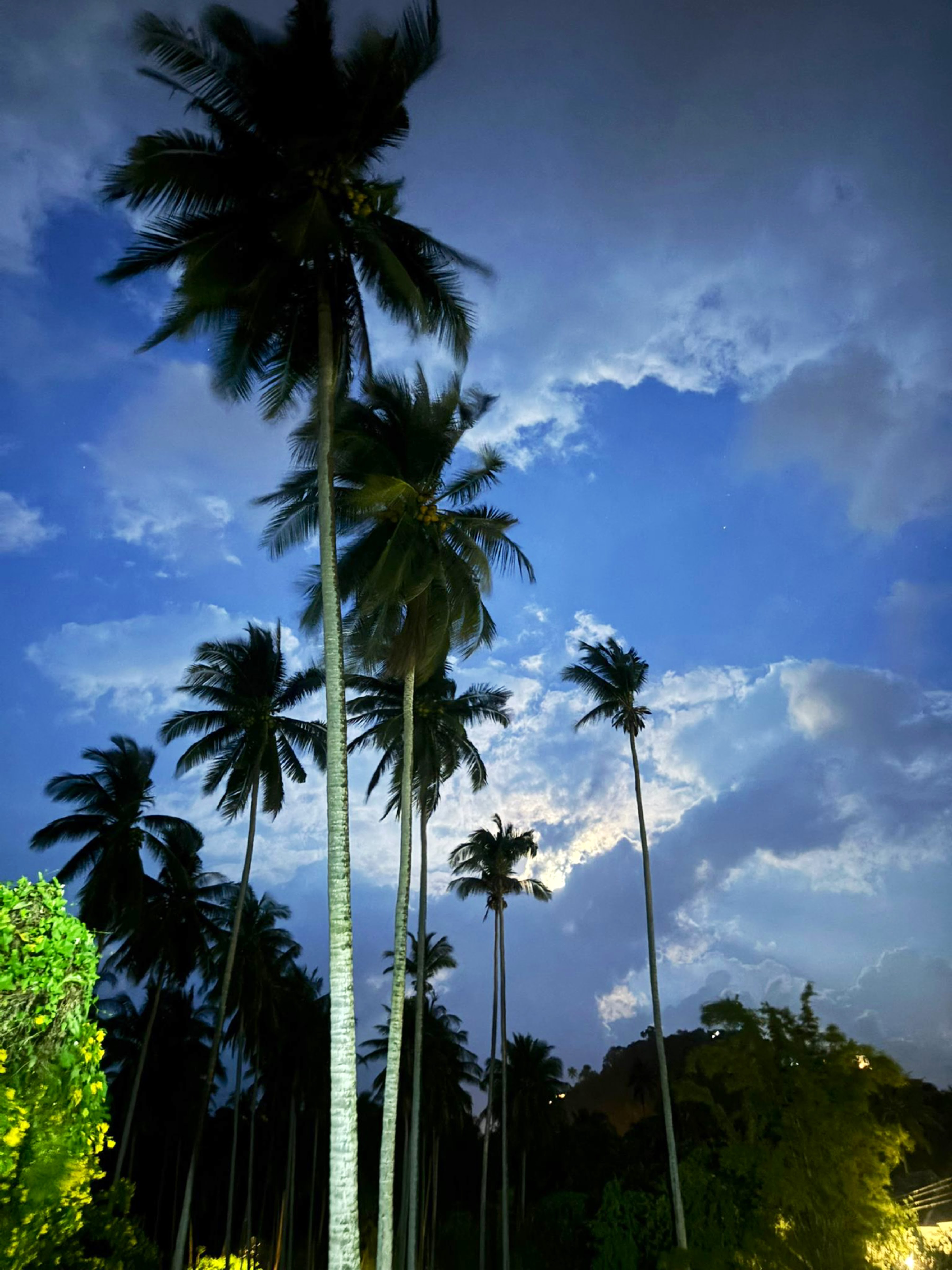 Green Heaven Bungalows