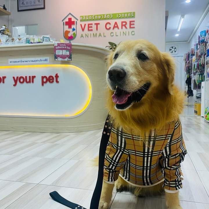 by vet care animal clinic