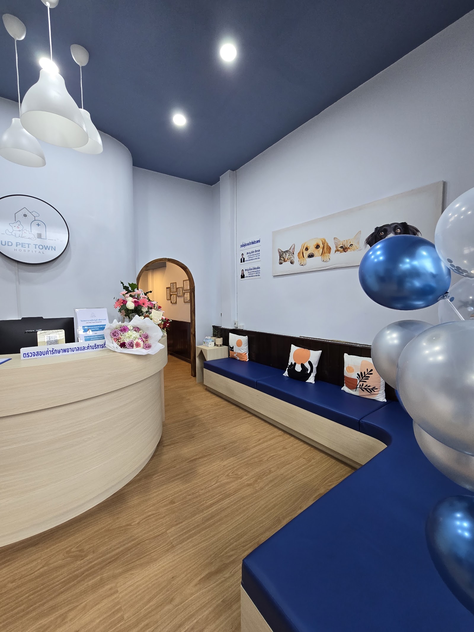 UD Pet Town Hospital
